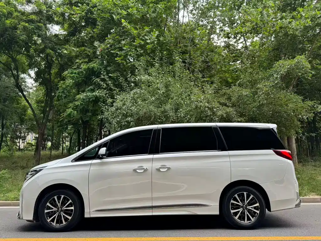 GAC Trumpchi M8 2023 — фото 11
