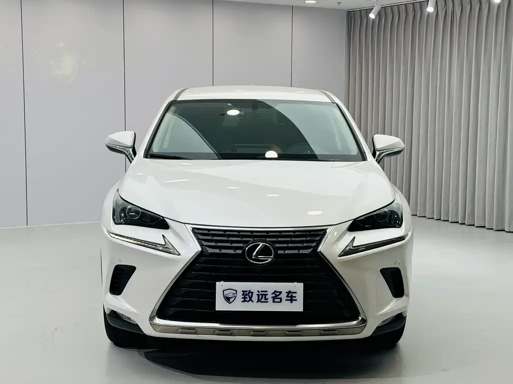 Lexus NX 2020 — фото 2