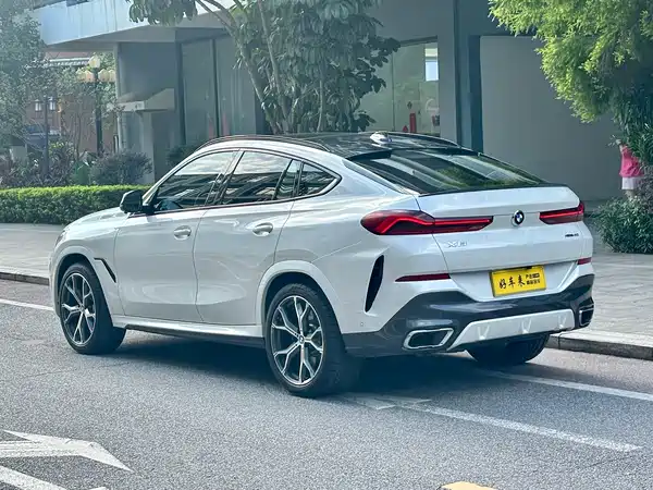 BMW X6 2021