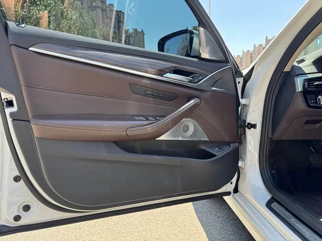 BMW 5 Series 2019