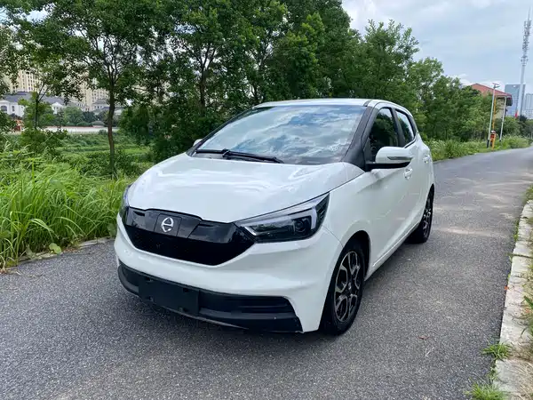 JMC Yizhi EV3 2020