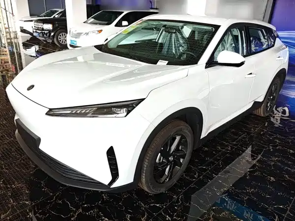 Dongfeng Aeolus SKY 2025