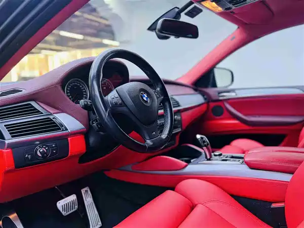 BMW X6 M 2010