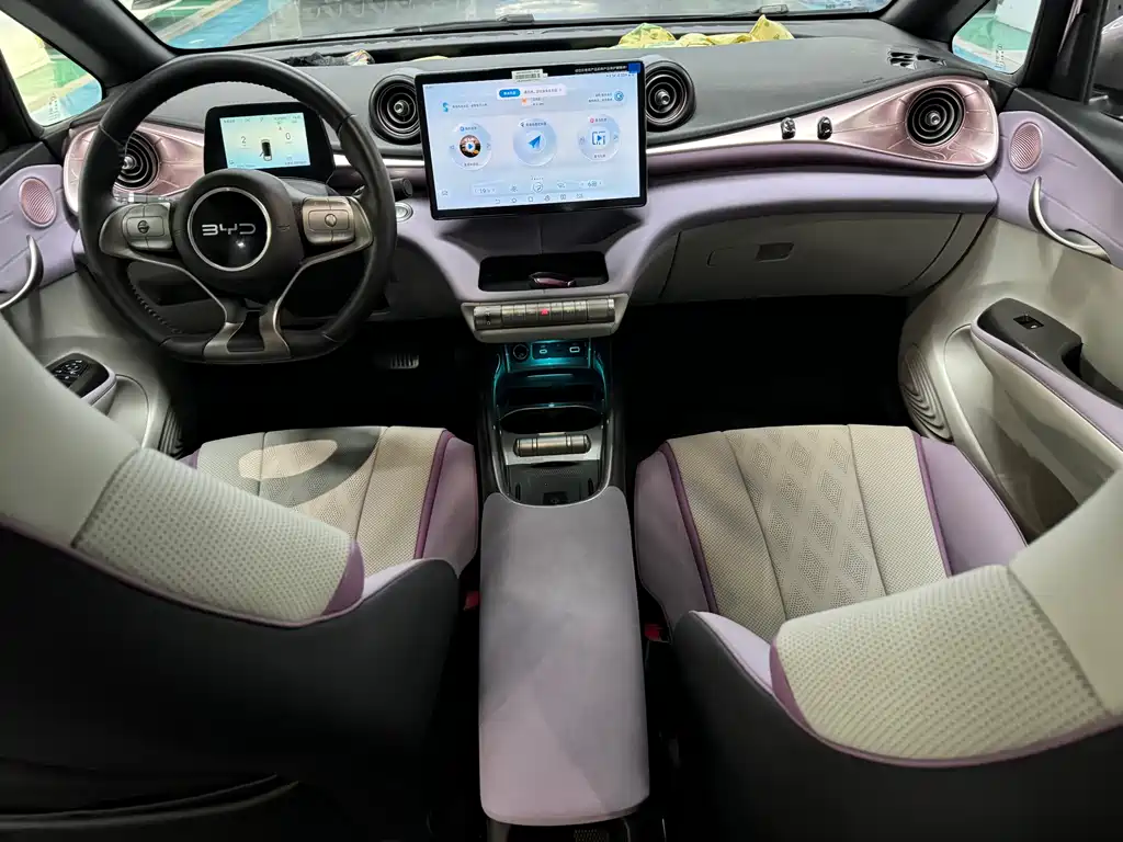 BYD Dolphin 2024