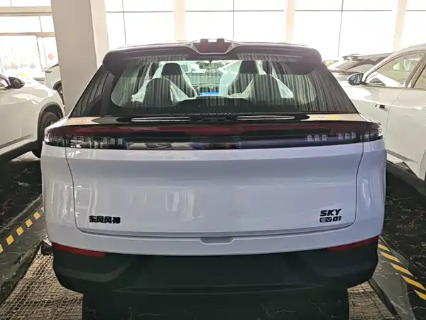 Dongfeng Aeolus SKY 2025