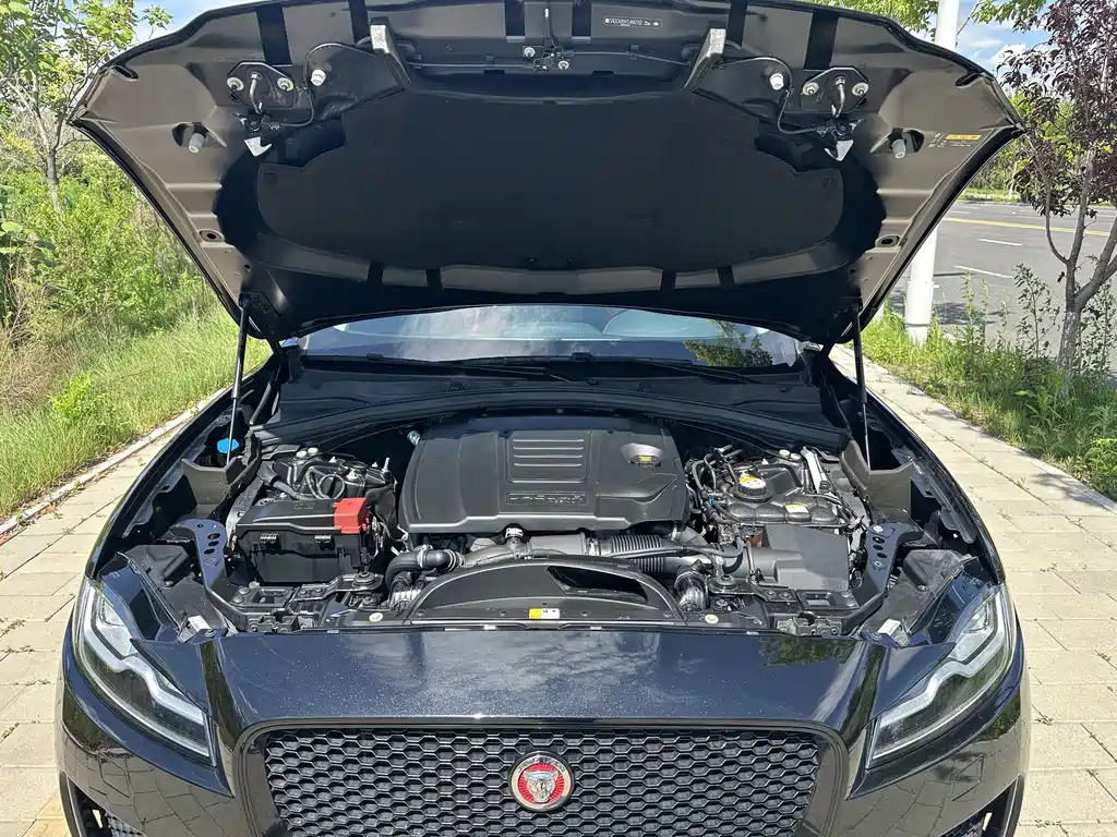 Jaguar F-PACE 2020 — фото 34