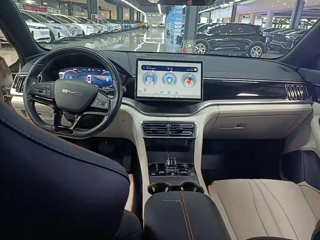 BYD PLUS New Energy 2024 — фото 10