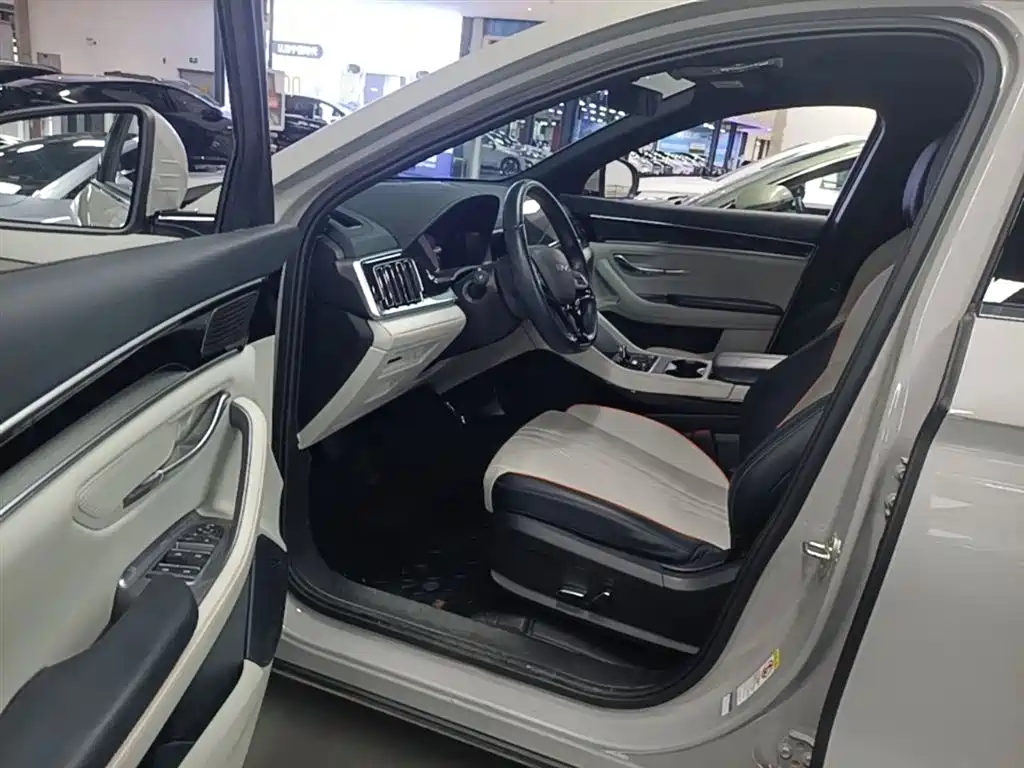 BYD PLUS New Energy 2024 — фото 15