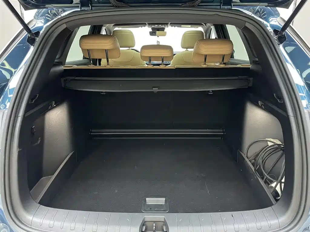 BYD L DM-i 2024 — фото 12