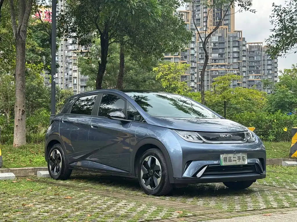 BYD Dolphin 2025