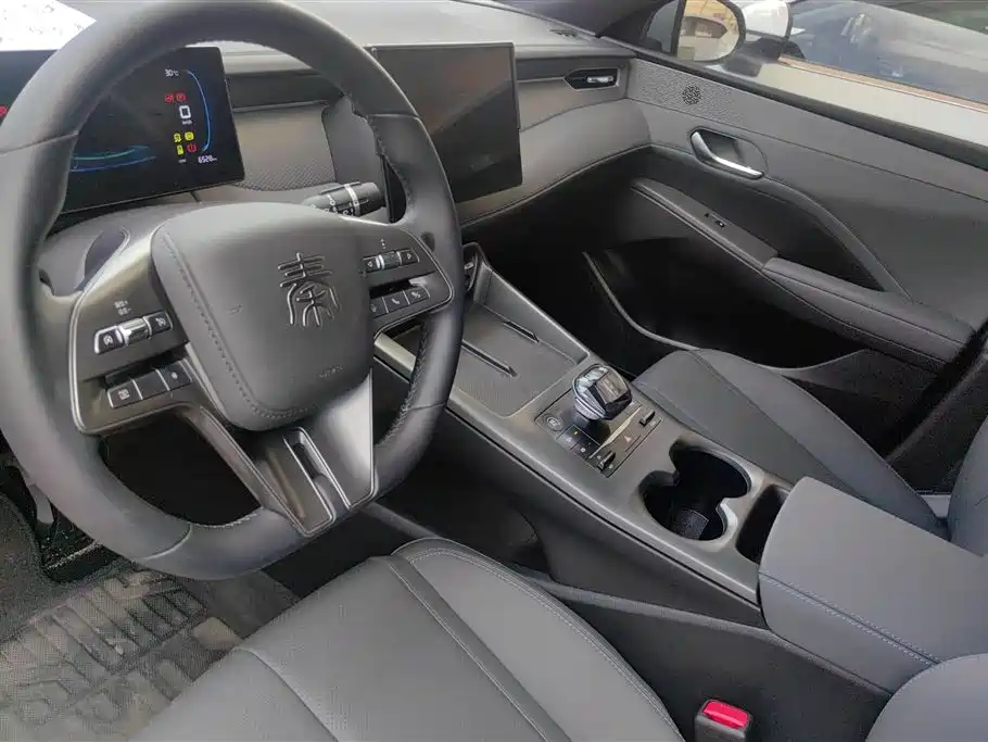 BYD Qin PLUS 2025 — фото 12