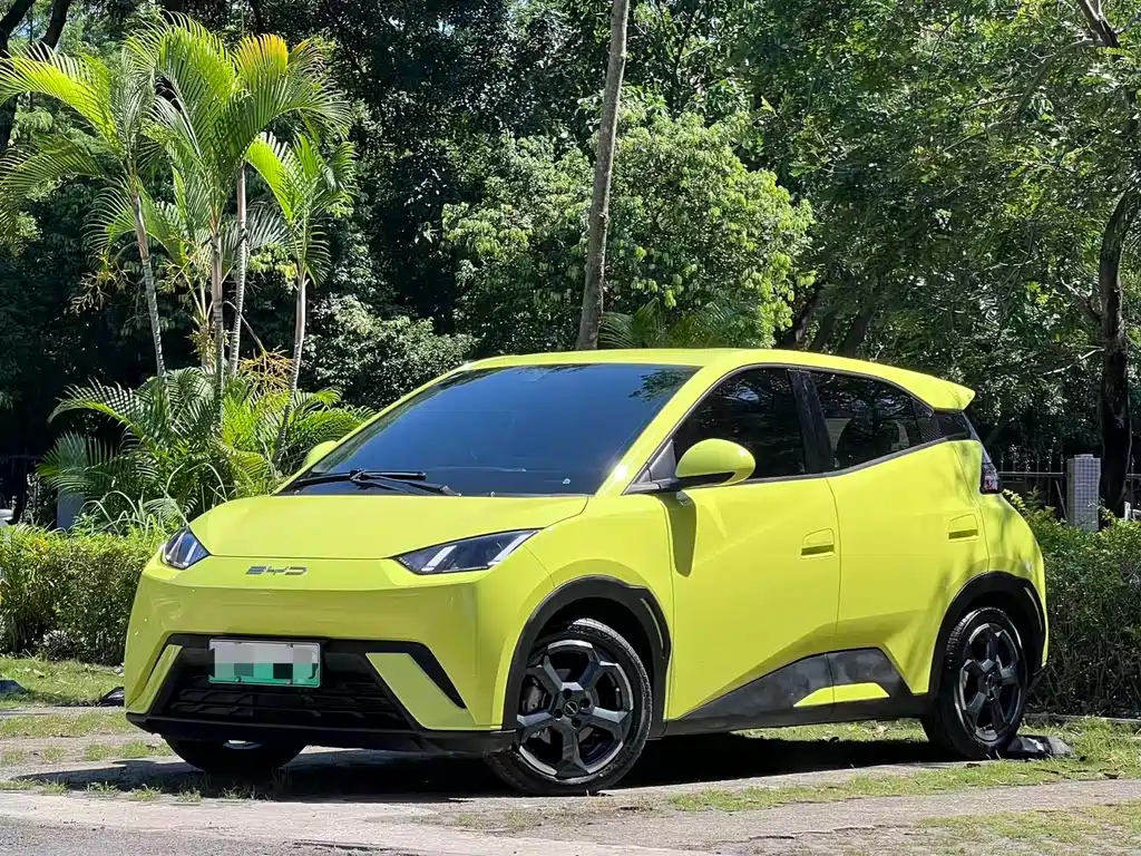 BYD Seagull 2024