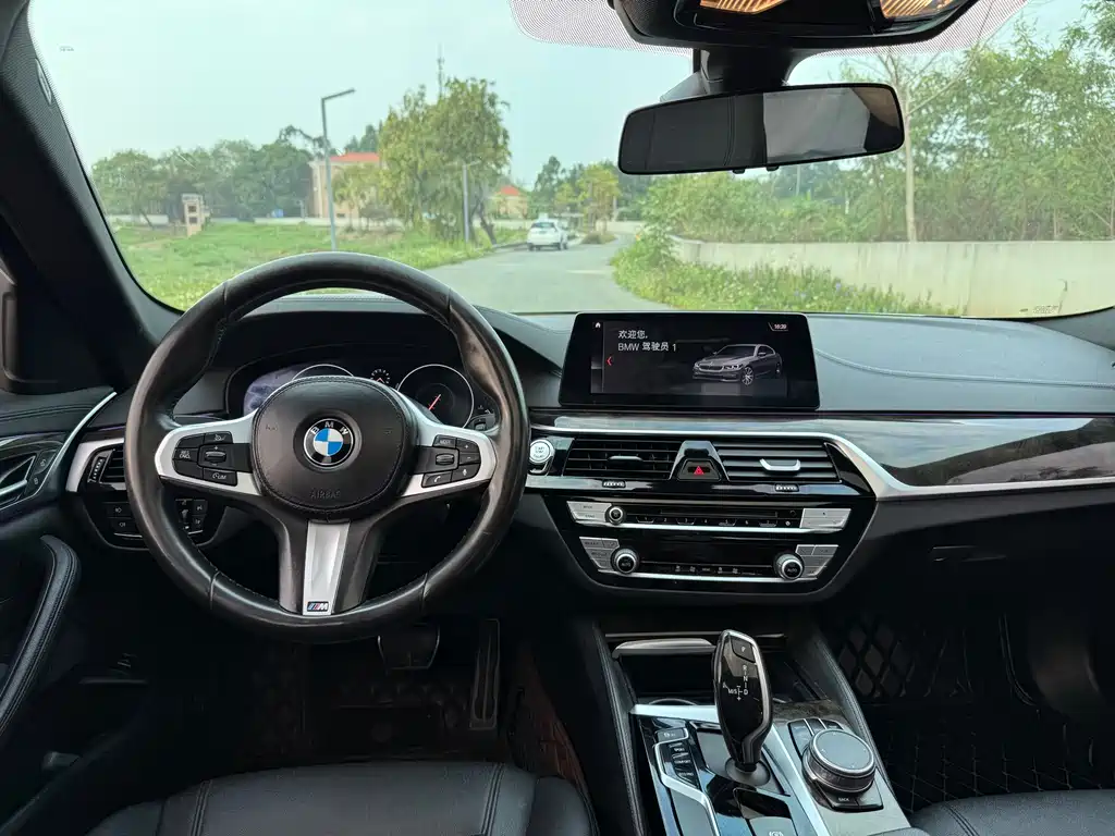 BMW 5 Series 2019 — фото 10