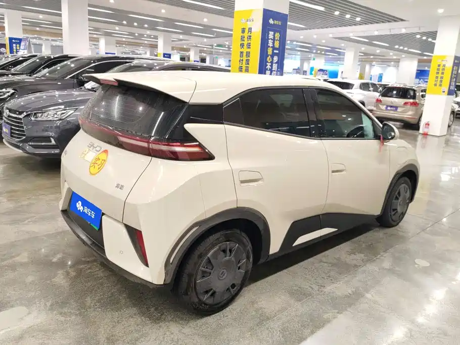 BYD Seagull 2025