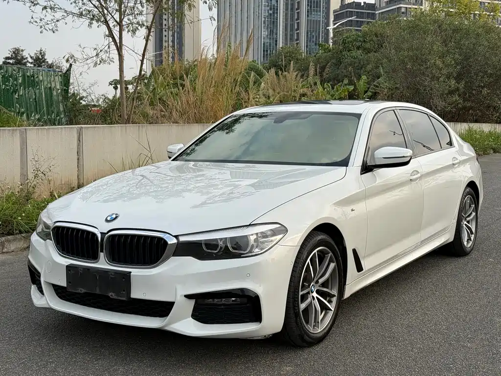 BMW 5 Series 2019 — фото 1