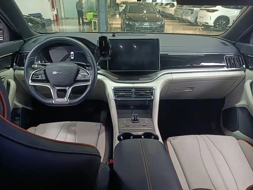BYD PLUS New Energy 2024 — фото 10