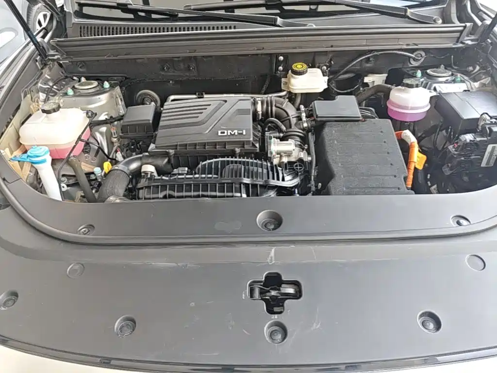 BYD Song Pro New Energy 2024 — фото 20