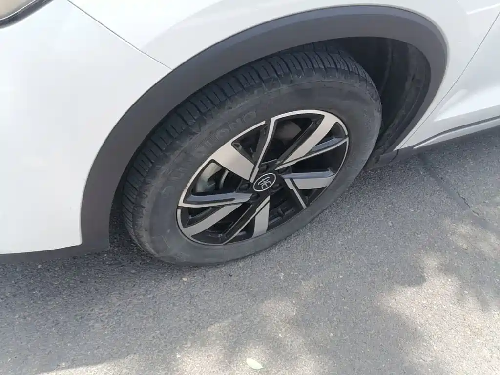 BYD Pro New Energy 2023 — фото 25