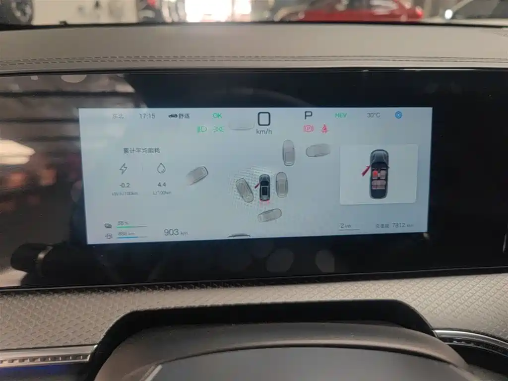 BYD Pro New Energy 2025 — фото 12