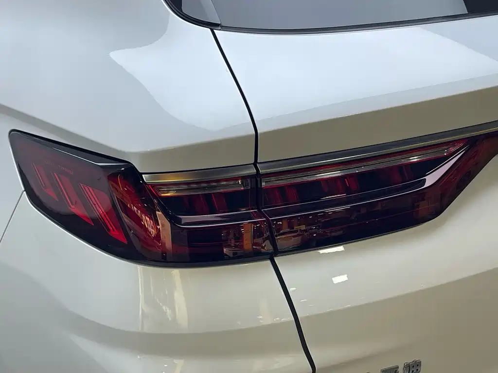 BYD PLUS New Energy 2022 — фото 10