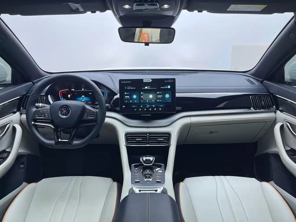 BYD PLUS New Energy 2022 — фото 15