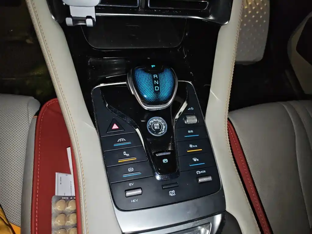 BYD PLUS New Energy 2021 — фото 11