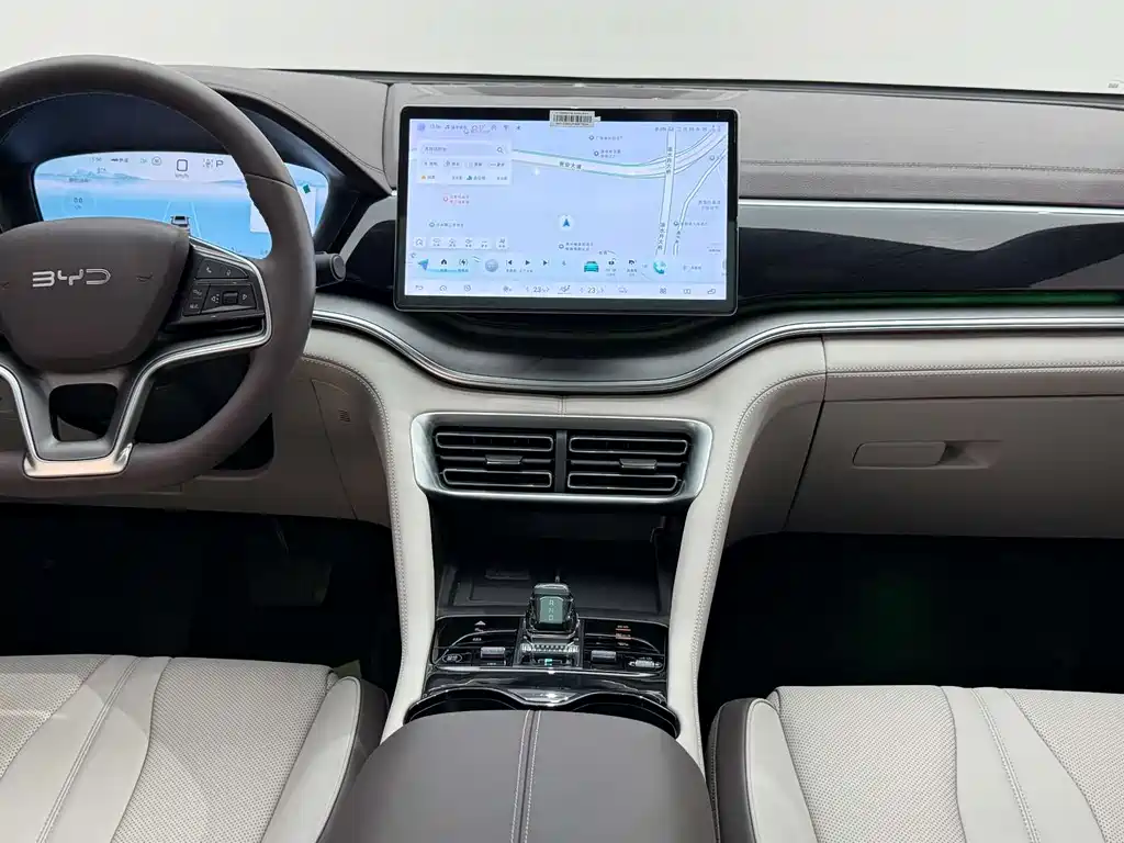 BYD Song PLUS New Energy 2025 — фото 22