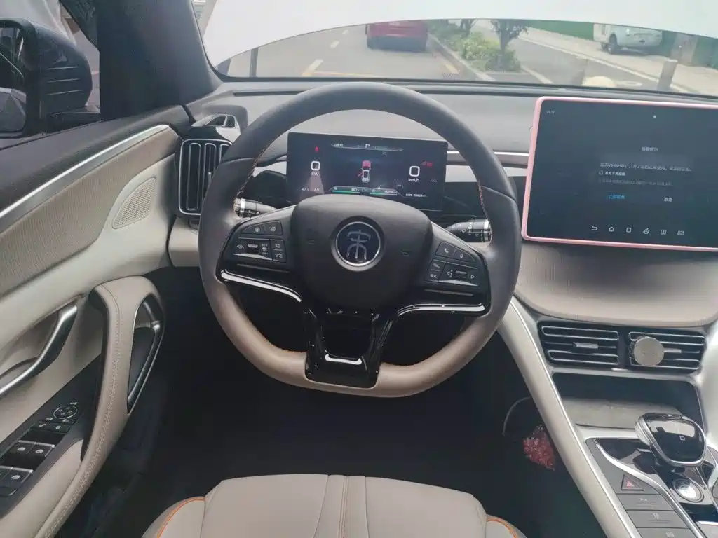 BYD Pro New Energy 2024 — фото 3