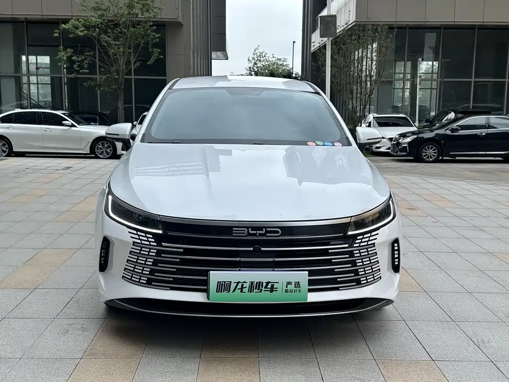 BYD Destroyer 05 2024 — фото 3
