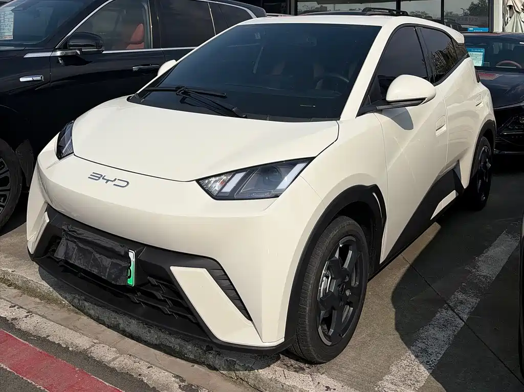 BYD Seagull 2024