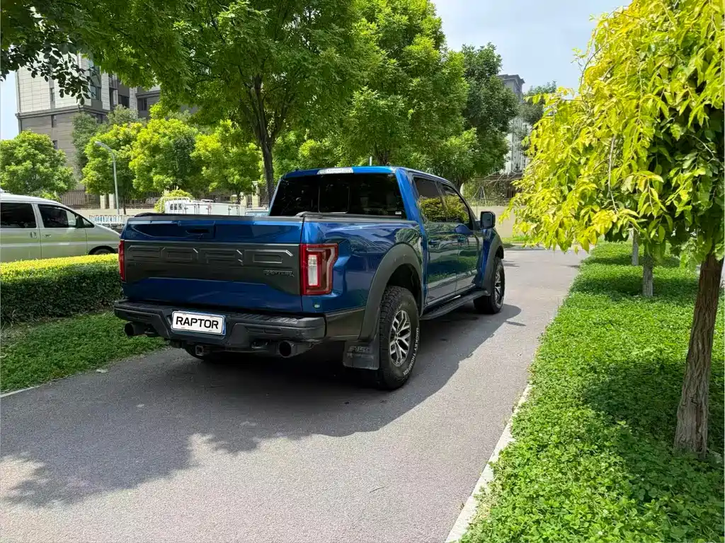Ford F-150 Raptor 2018 — фото 9