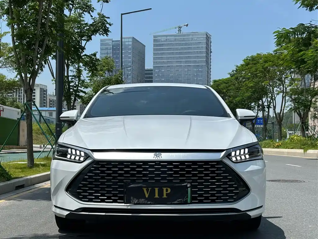 BYD Qin PLUS 2024