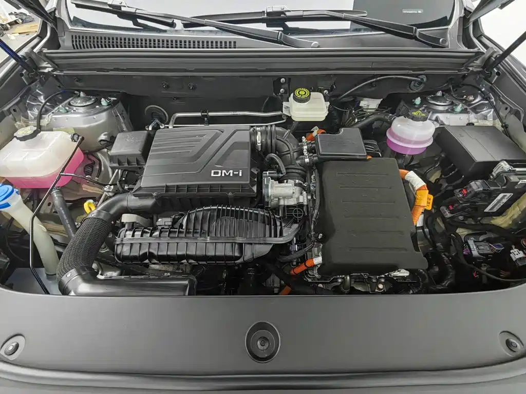 BYD Song Pro New Energy 2025 — фото 6