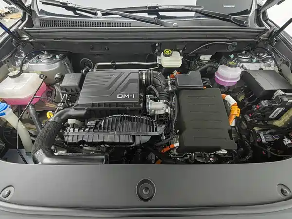 BYD Song Pro New Energy 2025
