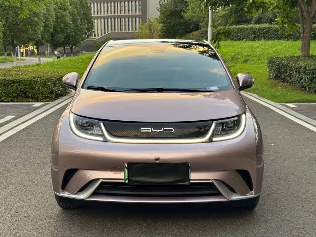 BYD Dolphin 2024