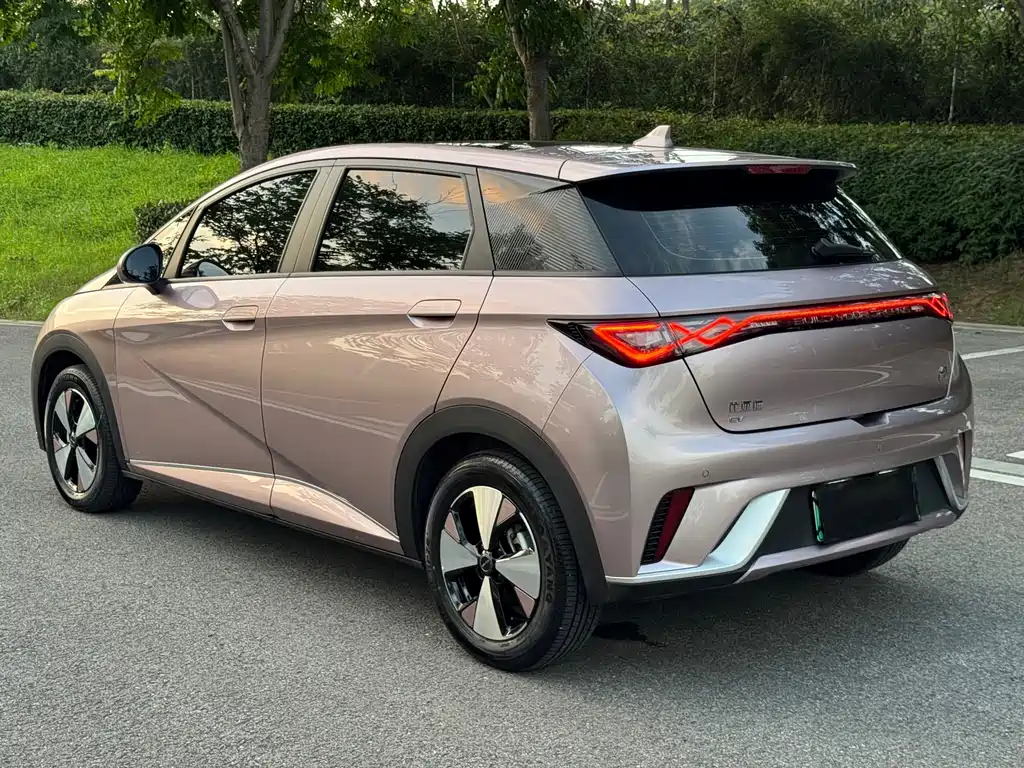 BYD Dolphin 2024
