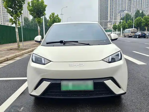 BYD Seagull 2024