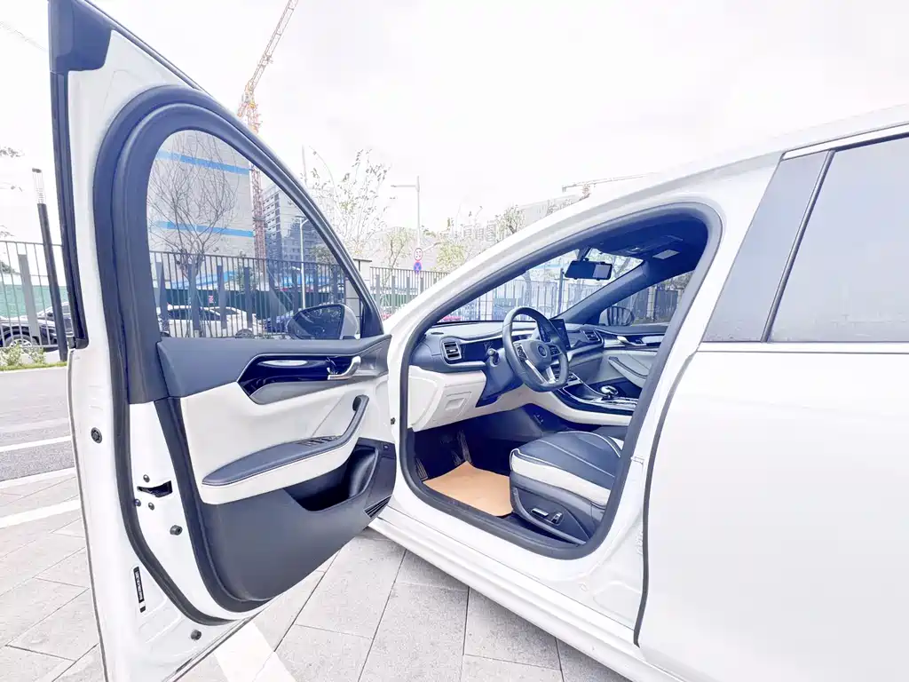 BYD Qin PLUS 2021 — фото 19