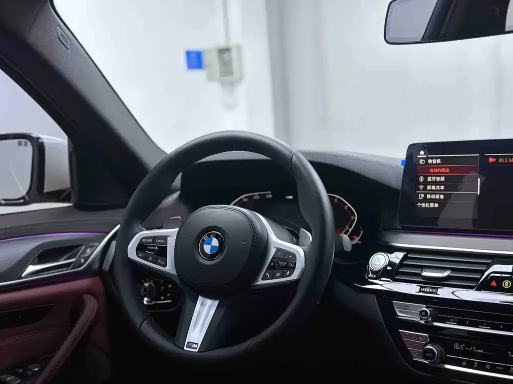 BMW 5 Series 2021 — фото 14