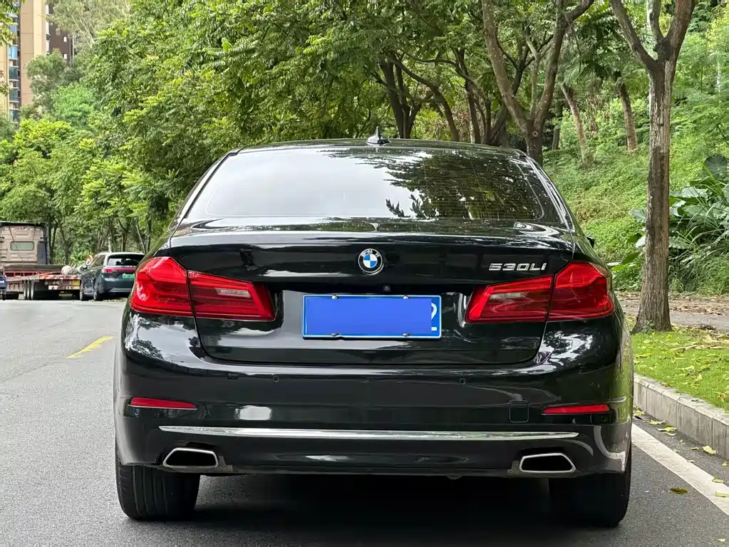 BMW 5 Series 2019