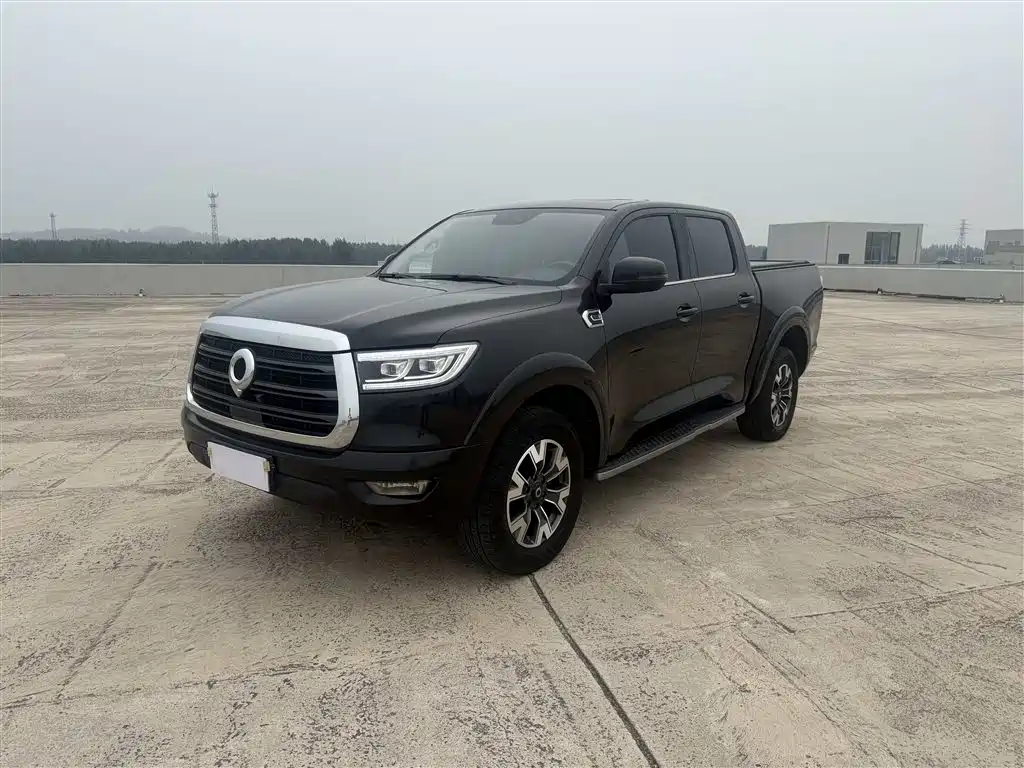 Great Wall Poer 2020
