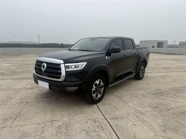 Great Wall Poer 2020