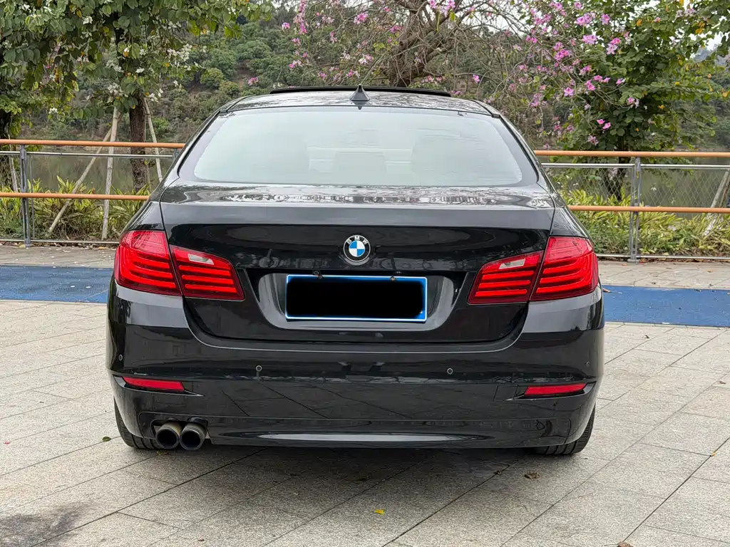 BMW 5 Series 2014 — фото 8