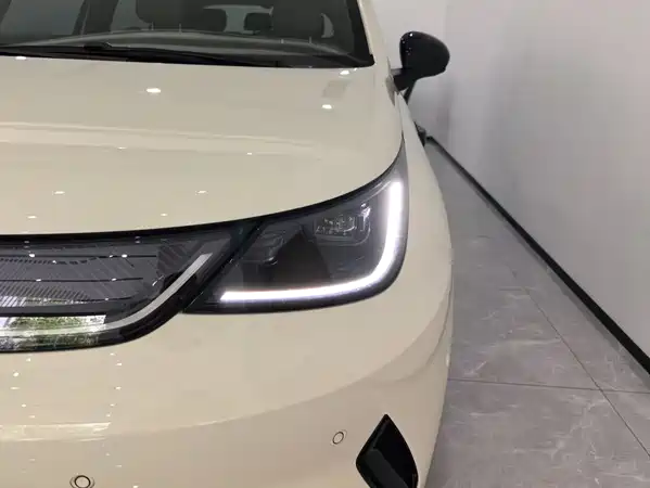 BYD Dolphin 2025
