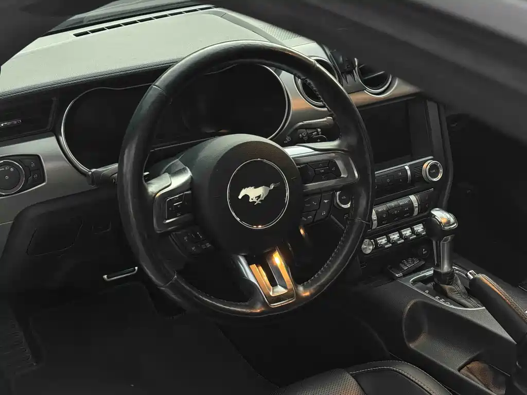 Ford Mustang 2019 — фото 14