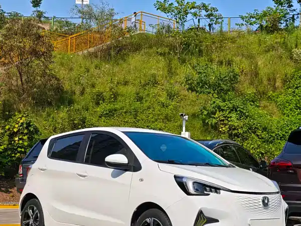 Changan Benben E-Star 2020