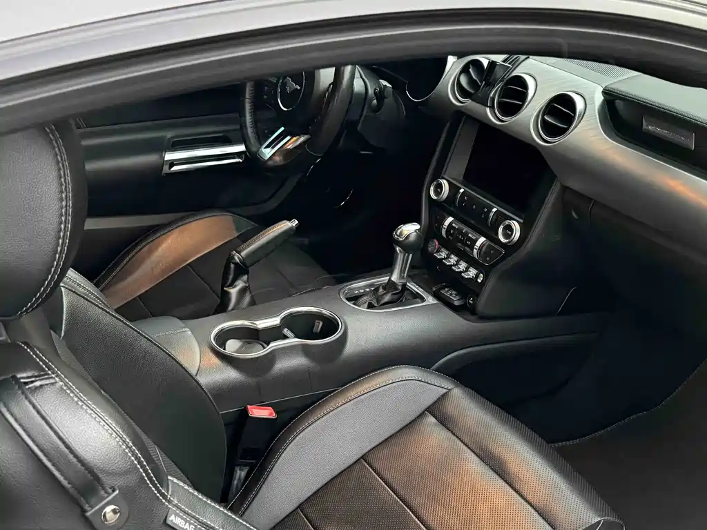 Ford Mustang 2019 — фото 13