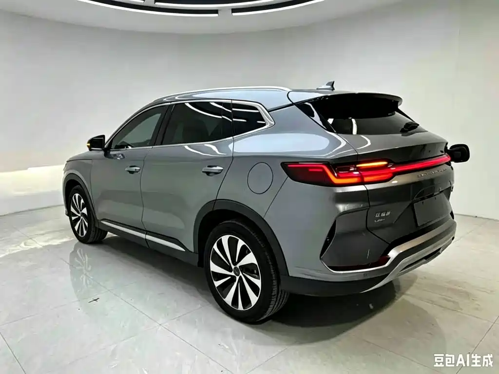 BYD Song PLUS New Energy 2024 — фото 5