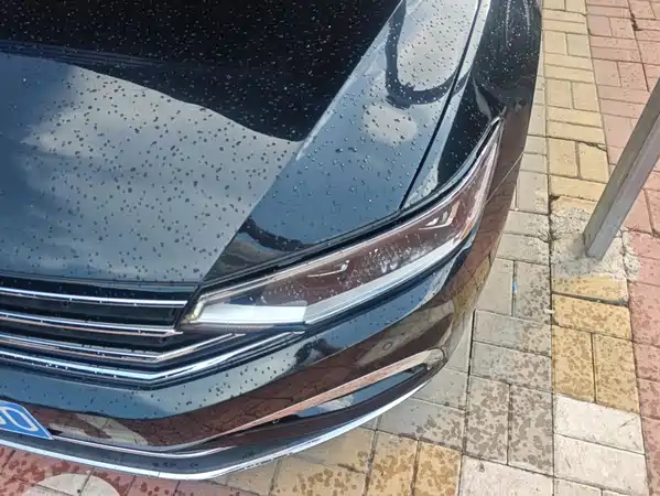 Volkswagen Magotan 2021