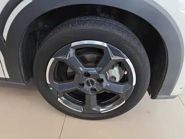 BYD Seagull 2024